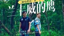 定期存款不见了怎么办?